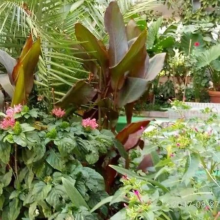 Garbatella Chippendale Apartamento *