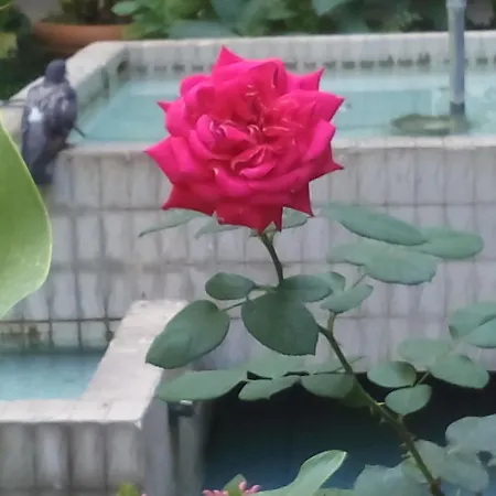 Apartamento Garbatella Chippendale Roma