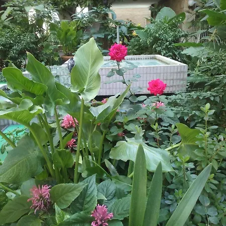 Garbatella Chippendale Apartamento